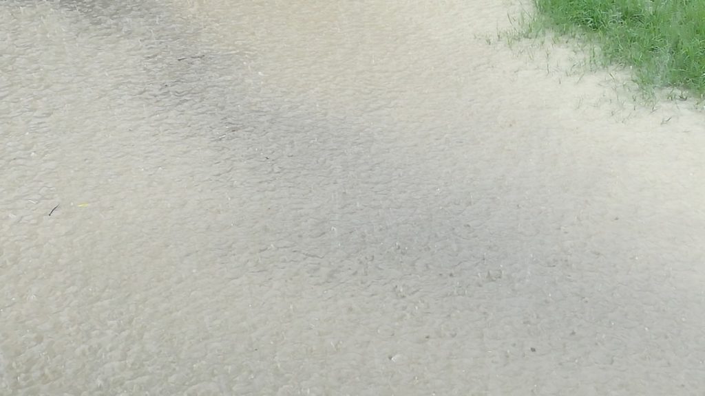 Bihar rain flood