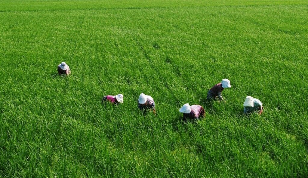 पीएम किसान सम्मान निधि योजना