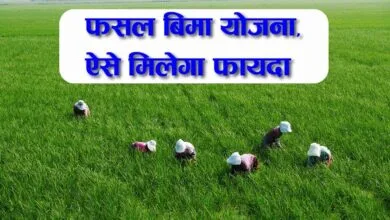 Pradhan Mantri Fasal Bima Yojana PMFBY