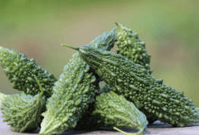 Karela Benefits