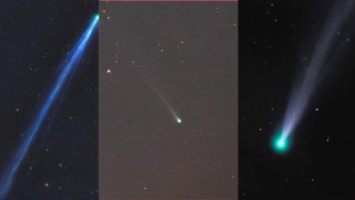 Comet-Nishimura