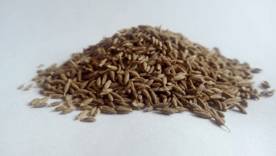 Jeera-Water-For-Weight-Loss