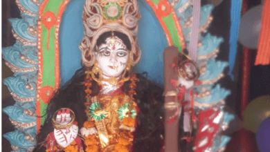 saraswati puja kab manaya jata hai