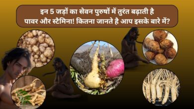 इन 5 जड़ों का सेवन पुरुषों में तुरंत बढ़ाती है पावर और स्टैमिना!