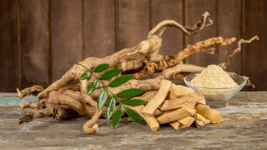 Tongkat Ali (Eurycoma longifolia) (1)