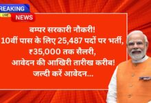 Bumper government job opportunities