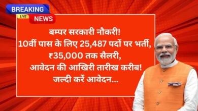 Bumper government job opportunities