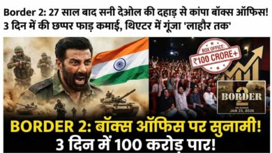 Border 2 Box Office Collection
