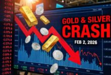 Gold-Silver Price Crash