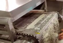 Fortified Rice