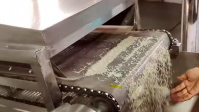 Fortified Rice